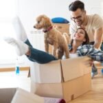 Shifting Your Pet To Your New House