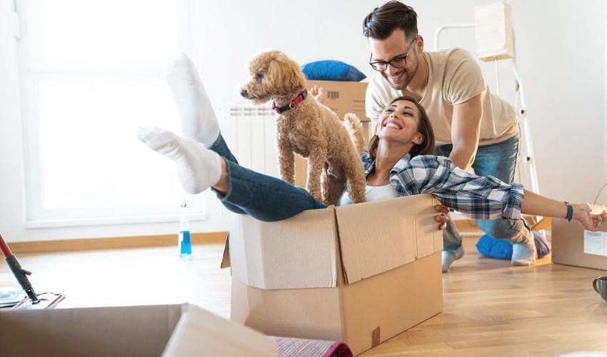 Shifting Your Pet To Your New House