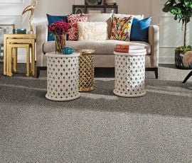 Living Room Carpets