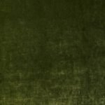 Cosmos_Velvet_EVERGREEN