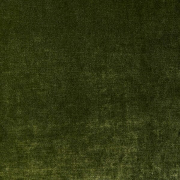 Cosmos_Velvet_EVERGREEN