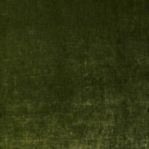 Cosmos_Velvet_EVERGREEN_033_FLAT