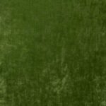 Cosmos_Velvet_GRASS_032_FLAT